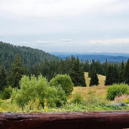 Forest Nook 빌라 *