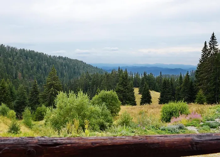 Forest Nook Villas Villa *